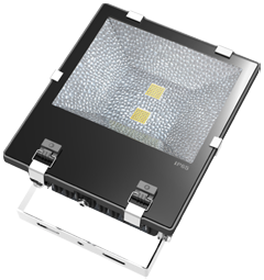 FL COB 100W